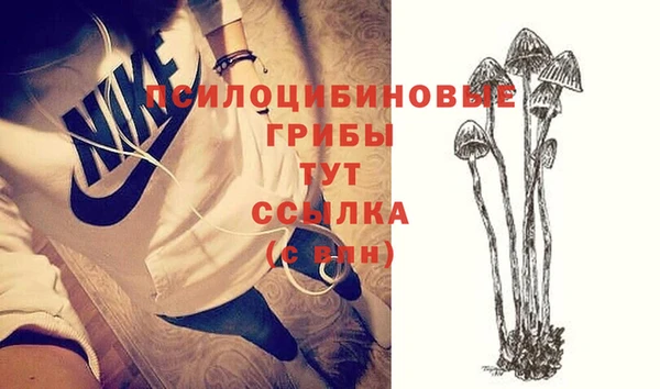 ПСИЛОЦИБИНОВЫЕ ГРИБЫ Белоозёрский