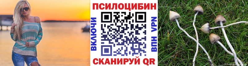 Галлюциногенные грибы GOLDEN TEACHER  Краснозаводск 